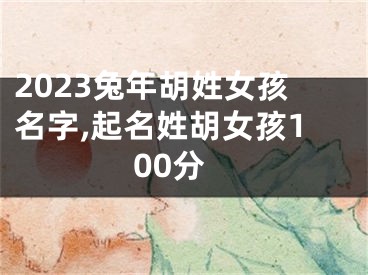 2023兔年胡姓女孩名字,起名姓胡女孩100分