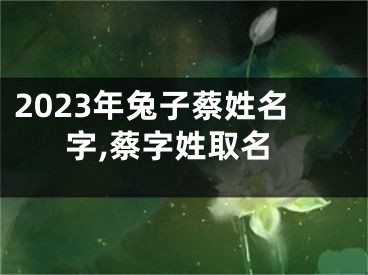 2023年兔子蔡姓名字,蔡字姓取名