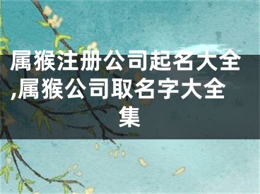 属猴注册公司起名大全,属猴公司取名字大全集