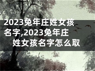 2023兔年庄姓女孩名字,2023兔年庄姓女孩名字怎么取