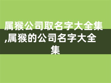 属猴公司取名字大全集,属猴的公司名字大全集