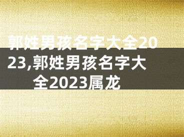 郭姓男孩名字大全2023,郭姓男孩名字大全2023属龙