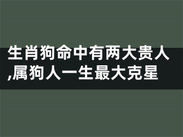 生肖狗命中有两大贵人,属狗人一生最大克星