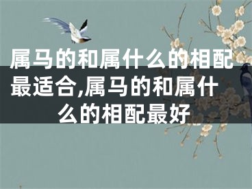 属马的和属什么的相配最适合,属马的和属什么的相配最好