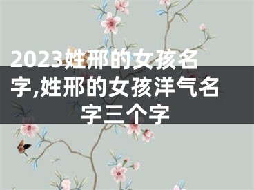 2023姓邢的女孩名字,姓邢的女孩洋气名字三个字