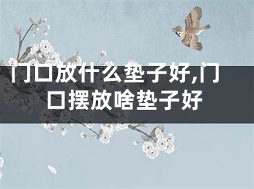 门口放什么垫子好,门口摆放啥垫子好