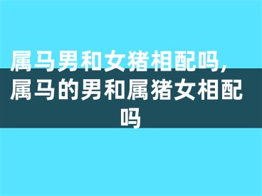 属马男和女猪相配吗,属马的男和属猪女相配吗