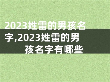 2023姓雷的男孩名字,2023姓雷的男孩名字有哪些