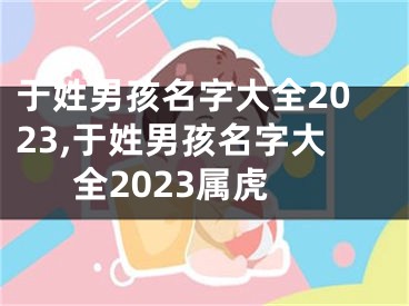 于姓男孩名字大全2023,于姓男孩名字大全2023属虎