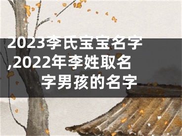 2023李氏宝宝名字,2022年李姓取名字男孩的名字