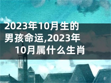 2023年10月生的男孩命运,2023年10月属什么生肖