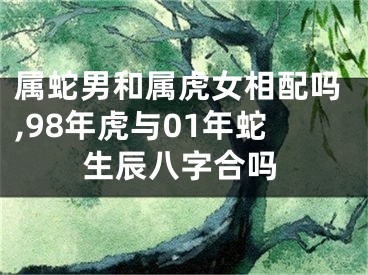 属蛇男和属虎女相配吗,98年虎与01年蛇生辰八字合吗