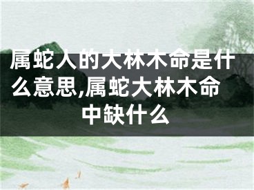 属蛇人的大林木命是什么意思,属蛇大林木命中缺什么