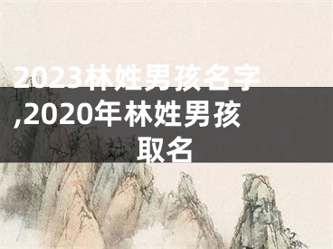 2023林姓男孩名字,2020年林姓男孩取名