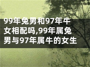 99年兔男和97年牛女相配吗,99年属兔男与97年属牛的女生