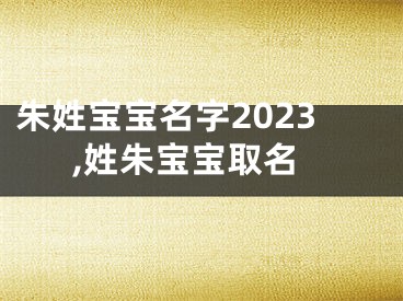 朱姓宝宝名字2023,姓朱宝宝取名