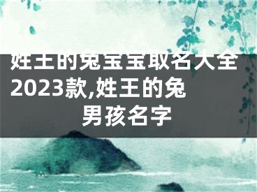 姓王的兔宝宝取名大全2023款,姓王的兔男孩名字