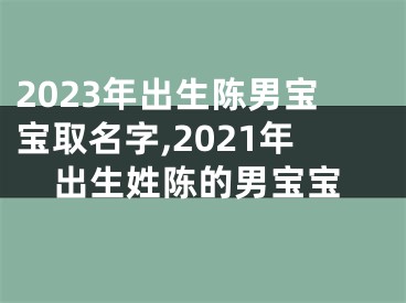 2023年出生陈男宝宝取名字,2021年出生姓陈的男宝宝