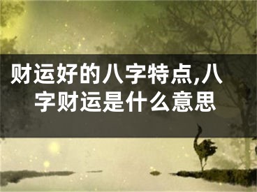 财运好的八字特点,八字财运是什么意思