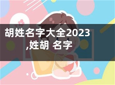 胡姓名字大全2023,姓胡 名字