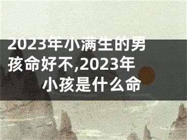 2023年小满生的男孩命好不,2023年小孩是什么命