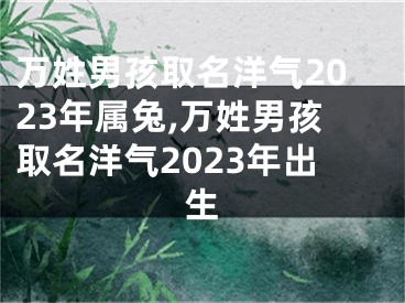 万姓男孩取名洋气2023年属兔,万姓男孩取名洋气2023年出生