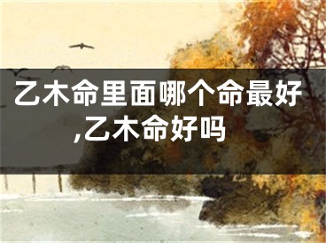 乙木命里面哪个命最好,乙木命好吗