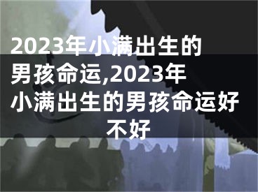 2023年小满出生的男孩命运,2023年小满出生的男孩命运好不好