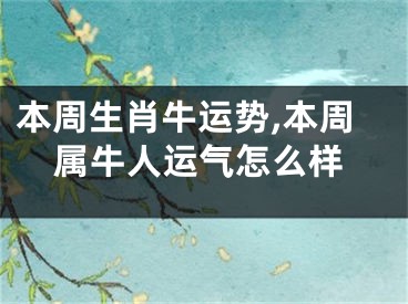 本周生肖牛运势,本周属牛人运气怎么样