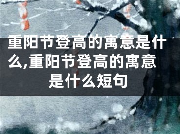 重阳节登高的寓意是什么,重阳节登高的寓意是什么短句