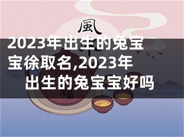 2023年出生的兔宝宝徐取名,2023年出生的兔宝宝好吗