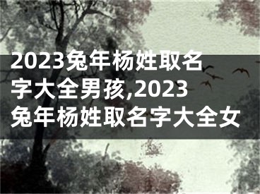 2023兔年杨姓取名字大全男孩,2023兔年杨姓取名字大全女