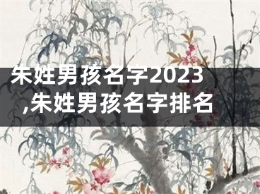 朱姓男孩名字2023,朱姓男孩名字排名