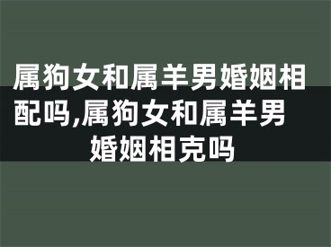 属狗女和属羊男婚姻相配吗,属狗女和属羊男婚姻相克吗