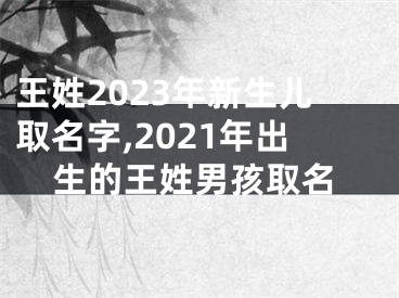 王姓2023年新生儿取名字,2021年出生的王姓男孩取名