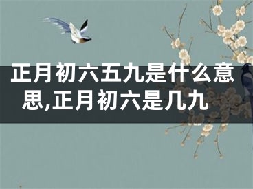 正月初六五九是什么意思,正月初六是几九