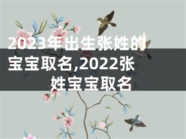 2023年出生张姓的宝宝取名,2022张姓宝宝取名