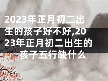 2023年正月初二出生的孩子好不好,2023年正月初二出生的孩子五行缺什么