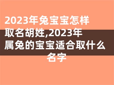 2023年兔宝宝怎样取名胡姓,2023年属兔的宝宝适合取什么名字