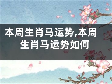 本周生肖马运势,本周生肖马运势如何