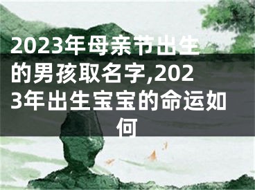 2023年母亲节出生的男孩取名字,2023年出生宝宝的命运如何