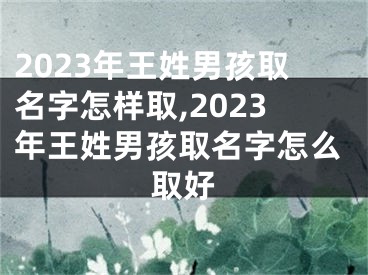 2023年王姓男孩取名字怎样取,2023年王姓男孩取名字怎么取好