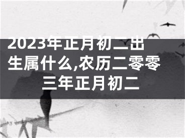 2023年正月初二出生属什么,农历二零零三年正月初二