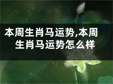 本周生肖马运势,本周生肖马运势怎么样