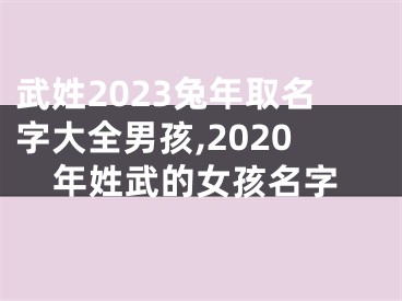 武姓2023兔年取名字大全男孩,2020年姓武的女孩名字