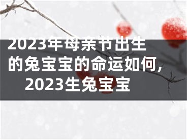 2023年母亲节出生的兔宝宝的命运如何,2023生兔宝宝