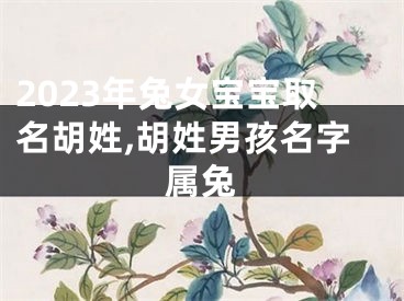 2023年兔女宝宝取名胡姓,胡姓男孩名字属兔