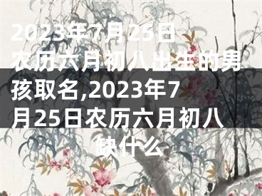 2023年7月25日农历六月初八出生的男孩取名,2023年7月25日农历六月初八缺什么