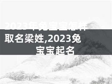 2023年兔宝宝怎样取名梁姓,2023兔宝宝起名