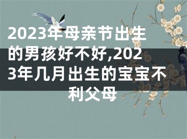 2023年母亲节出生的男孩好不好,2023年几月出生的宝宝不利父母